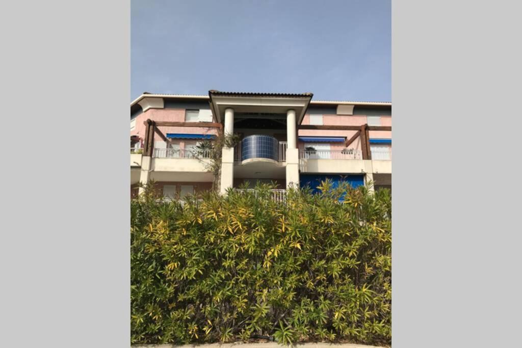 Magnifique Studio A 50M De La Plage De Cavaliere - Studio Tamarindo Ле-Лаванду Экстерьер фото
