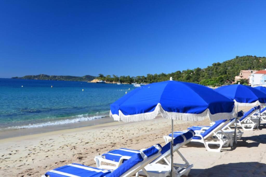 Magnifique Studio A 50M De La Plage De Cavaliere - Studio Tamarindo Ле-Лаванду Экстерьер фото